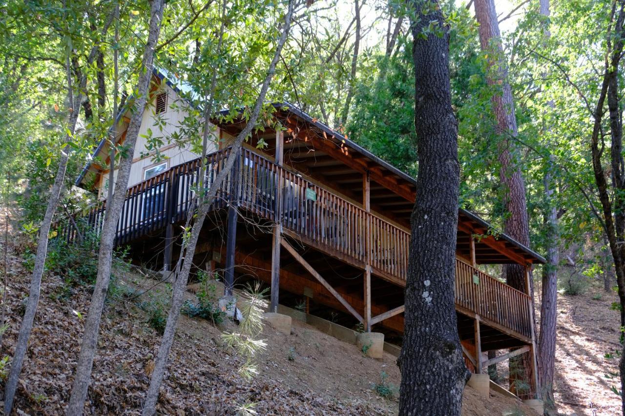 Yosemite Bug Rustic Mountain Resort Midpines Exterior photo