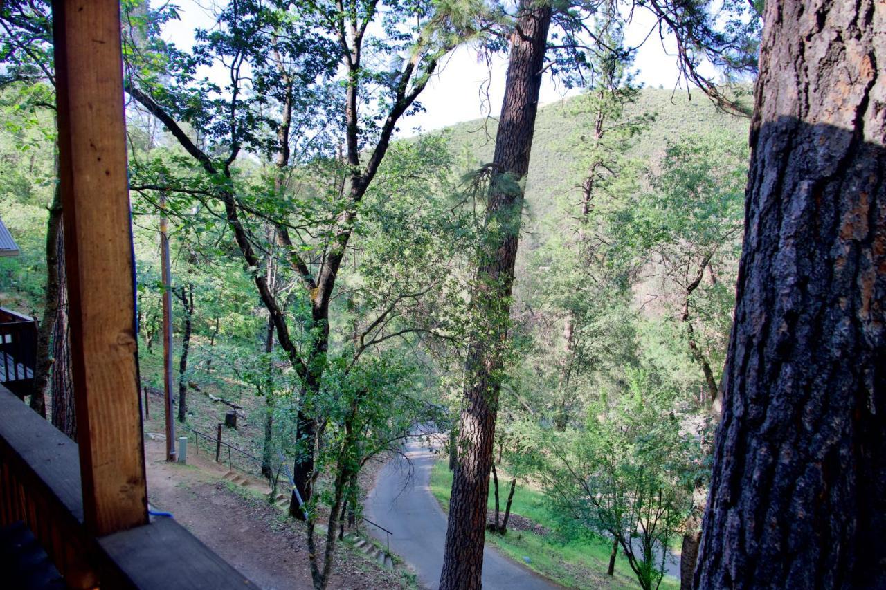 Yosemite Bug Rustic Mountain Resort Midpines Exterior photo